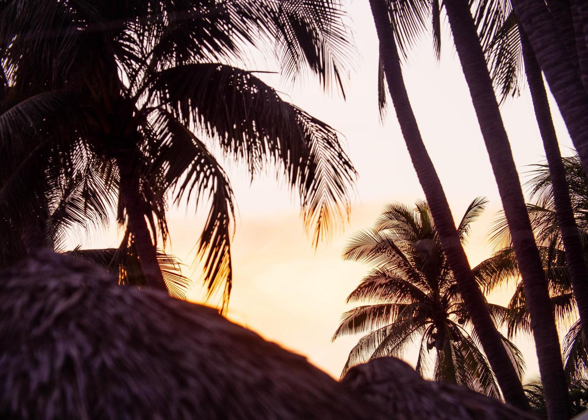 Almare Zonte - Beachfront Glamping Hotel El Zonte Bagian luar foto